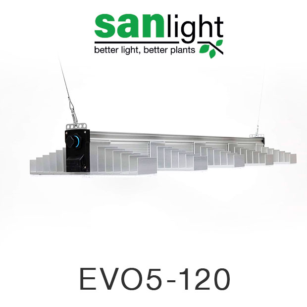 SANlight  EVO 5-120