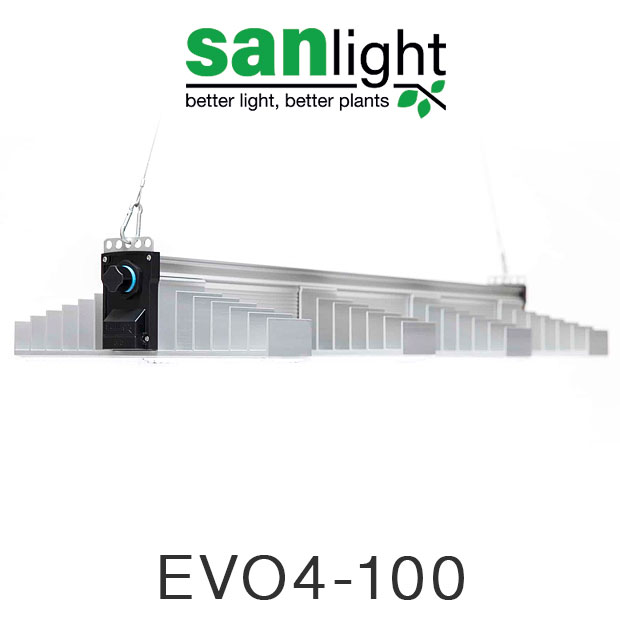 SANlight  EVO 4-100