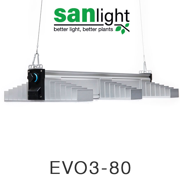 SANlight  EVO 3-80