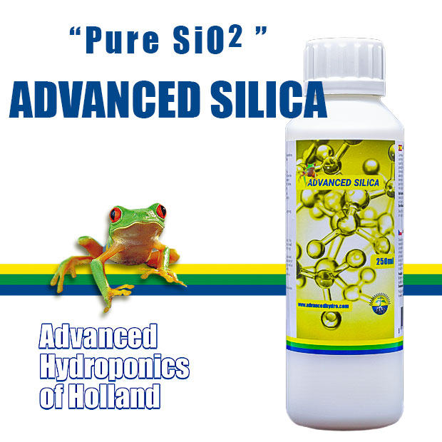 Advanced Silica 250ml(アウトレット)